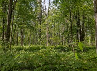 0 V/l #13, Bitely, MI 49309