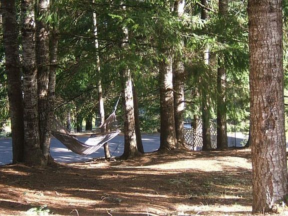 Relax in your treed yard