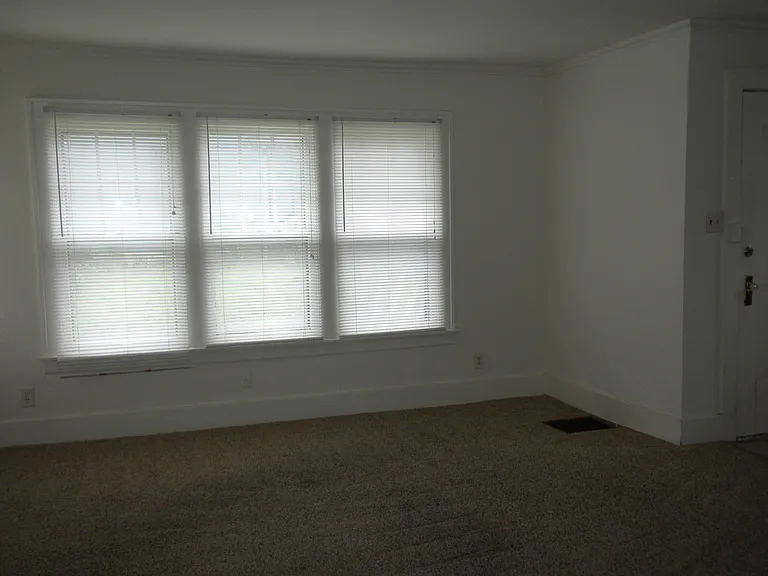 1008 Otto Ct — Photo 5