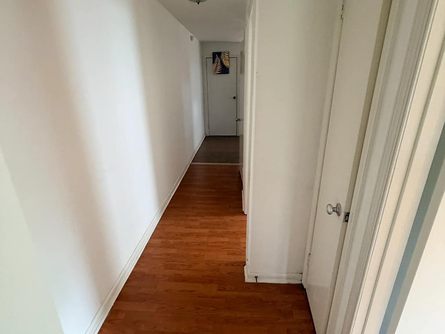 2 bed, 850 sqft, $1,300 — Photo 4