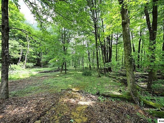 4th image of 783 Crestrose Dr