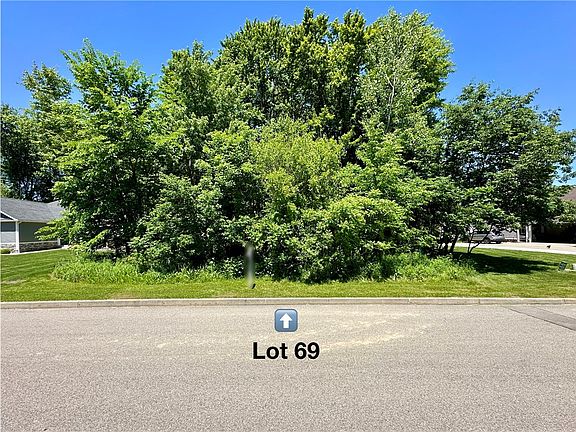 2nd image of LOT 69 Alexander Xing