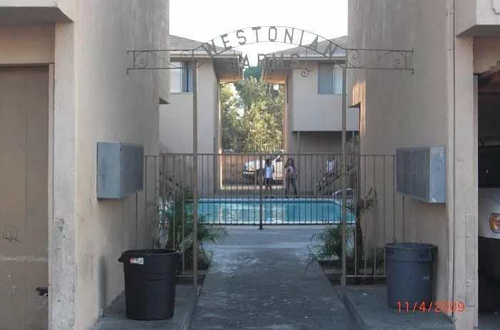 2 bed, 950 sqft, $2,295 — Photo 4