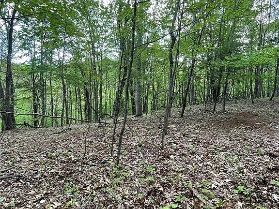 3rd image of TBD Edwin Blevins Road
