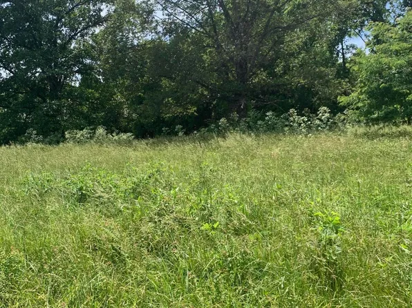 Track #8 Kimberlin Mill Road, Clever, MO 65631