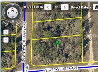 13650 Downy Woodpecker Rd, Weeki Wachee, FL 34614