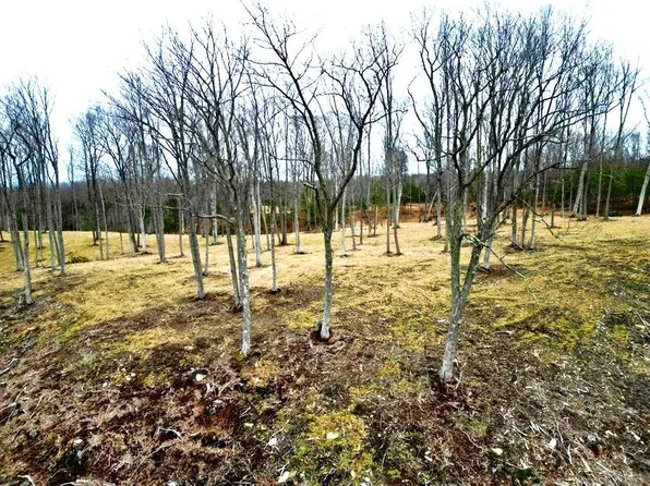 403 Ridge Run Rd #405, Mount Lookout, WV 26678