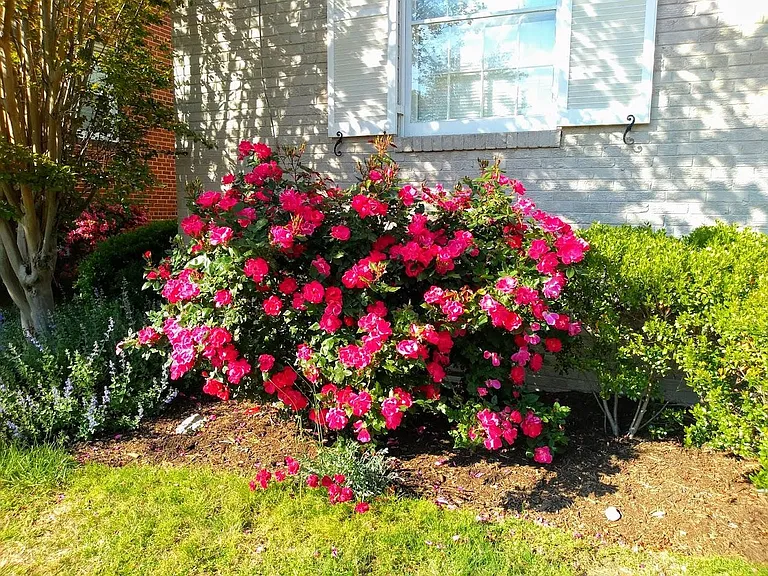 1723 Oakcrest Dr — Photo 21