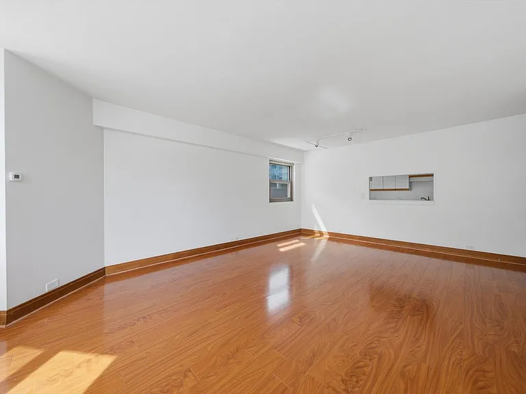 535 N Michigan Ave #1009 — Photo 6