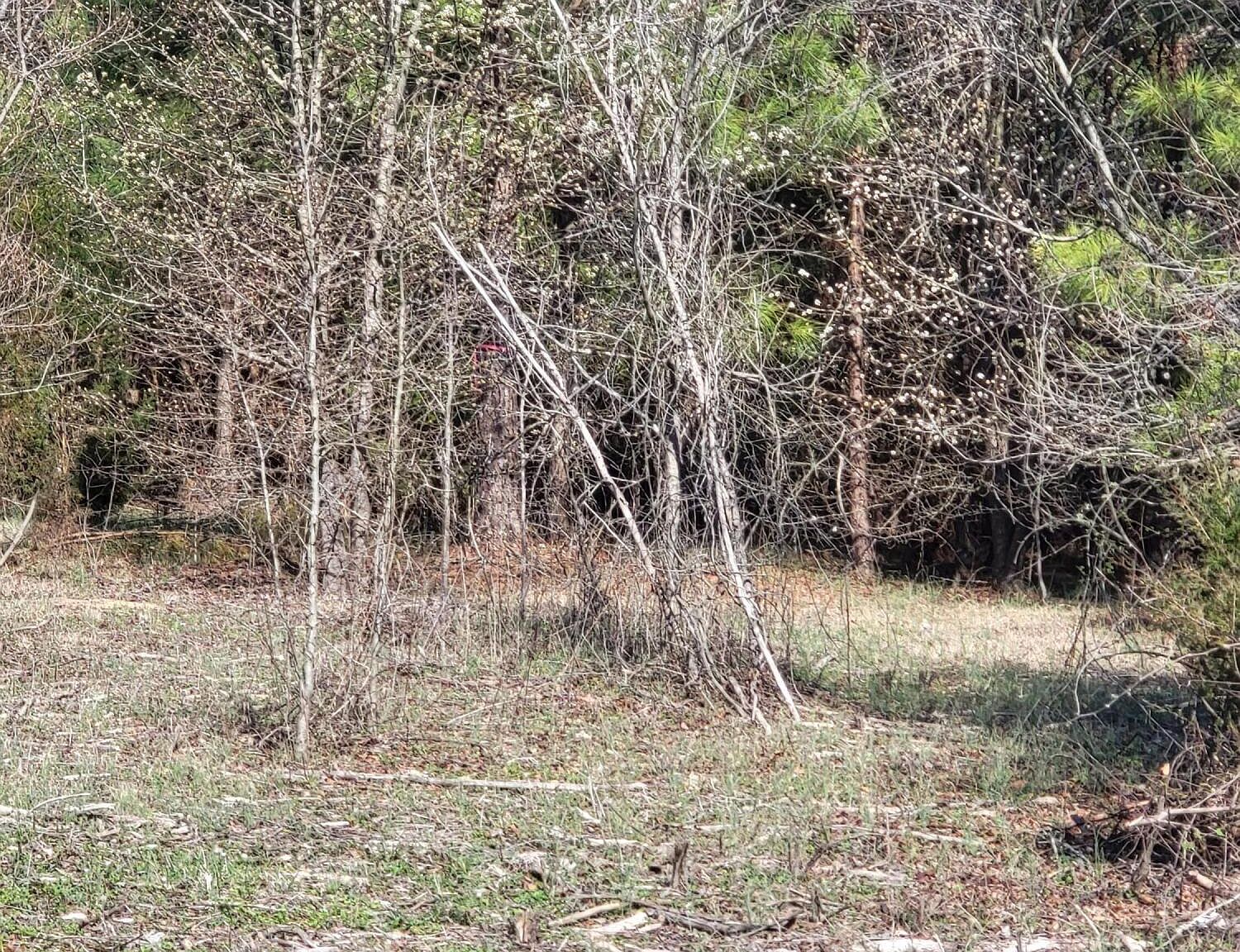 Lot 2 Momeyer Way, Nashville, NC 27856 Zillow