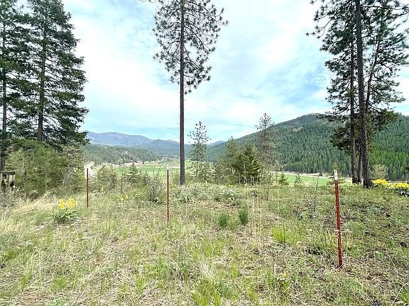 3rd image of 3009 Cottonwood Creek Rd