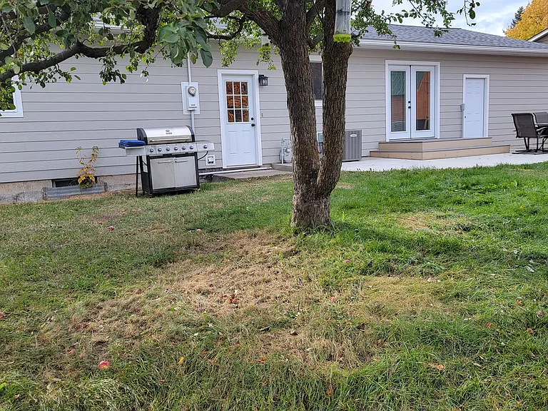 Back of house, fenced yard