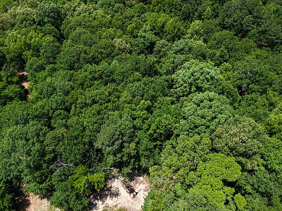 4th image of McBride Rd