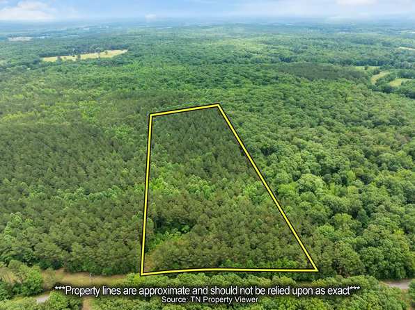 0 Cash School Rd Lot 3, Enville, TN 38332