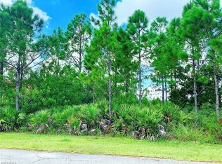 1005 Clayton Ave, Lehigh Acres, FL 33972