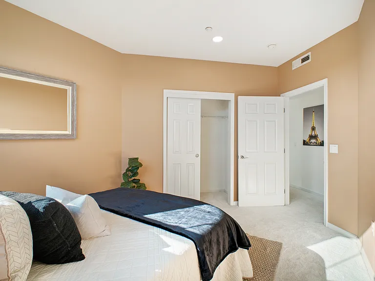 49002 Cinnamon Fern Cmn #402 — Photo 17