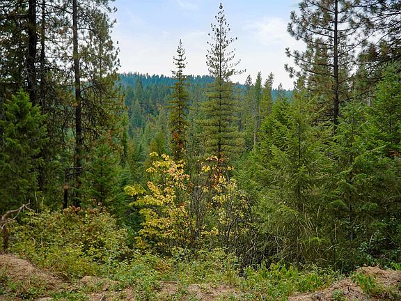 3rd image of 4450 Buck Creek Rd