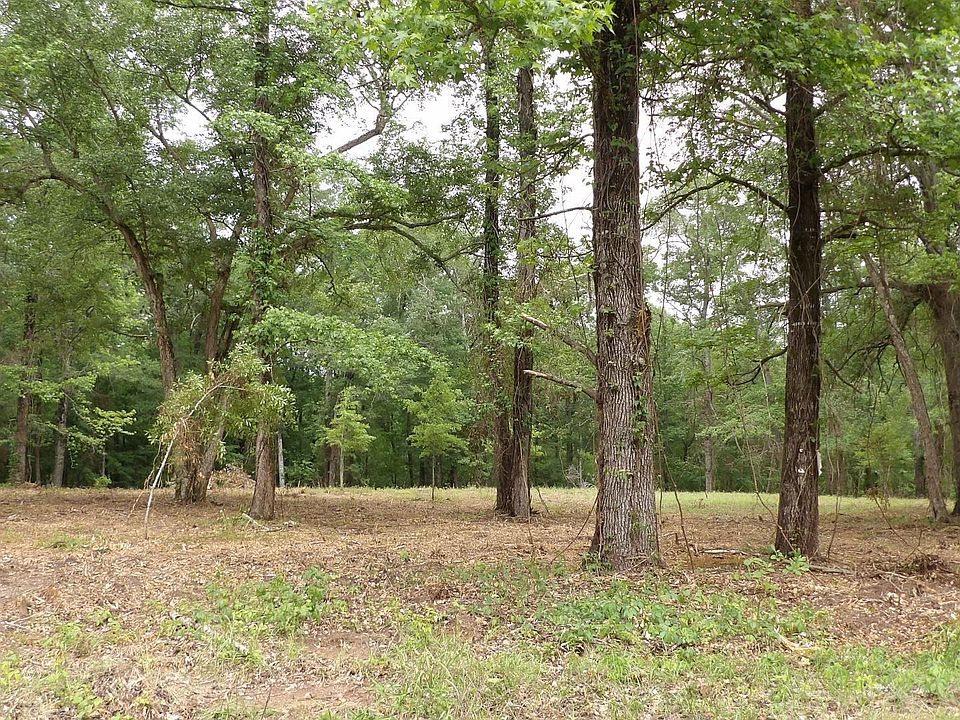 2nd image of Shelley Rd
