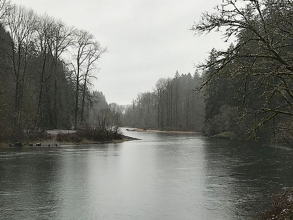 3 minute walk to Lewis River