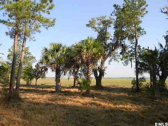 3rd image of 20 Wood Ibis Trail