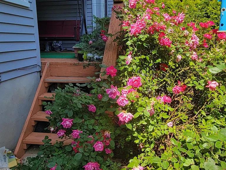 13 Linda Ct — Photo 20
