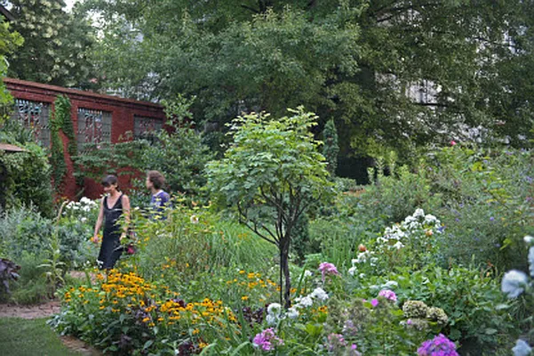 Rented by CD280 | media 2