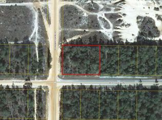 0 W Violet Ln, Mossy Head, FL 32434