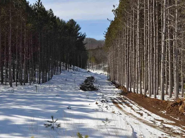 0 Five Mile Rd, Traverse City, MI 49686