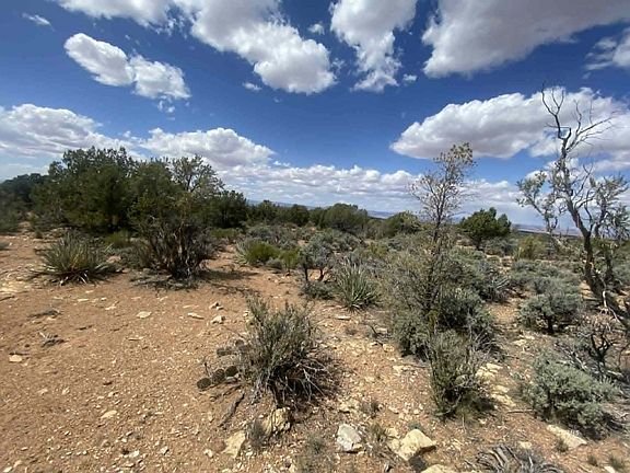 4th image of White Sage Flat Rd #601-21-001R