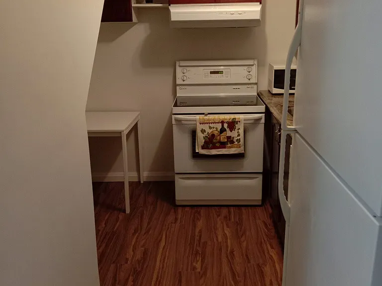 926 Walnut Ct #BASEMENT — Photo 6