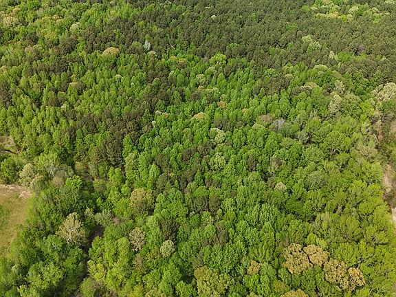4th image of 40.44 Ac River Rd