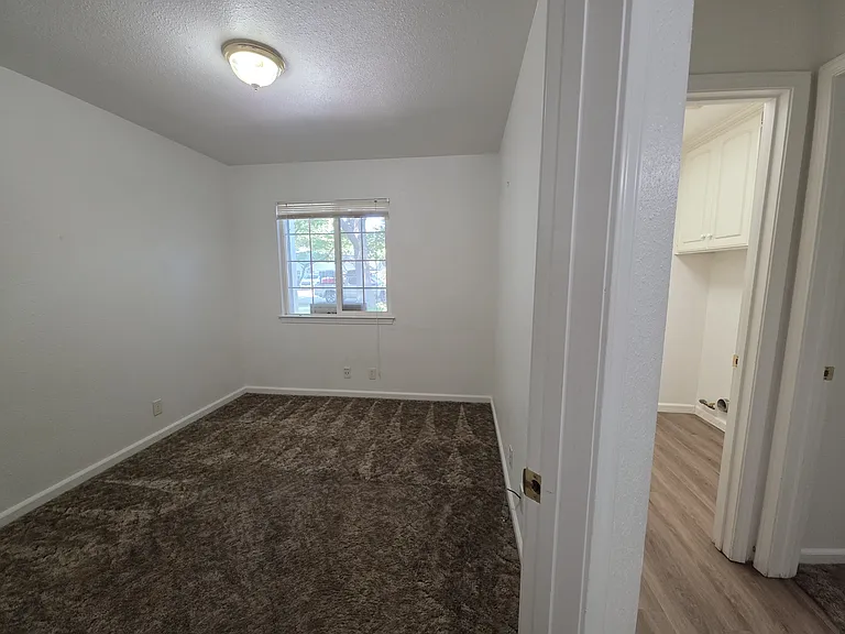 819 Black Walnut Way — Photo 12