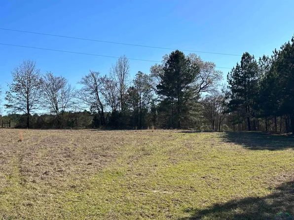 9662 Begonia Rd, Ore City, TX 75683