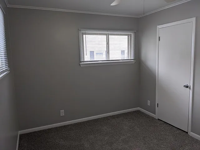 61 Pine Ct — Photo 12