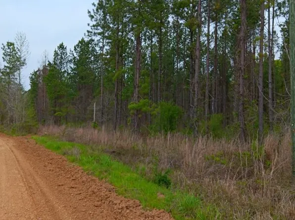 0 Hamburg Rd, Fayette, MS 39069