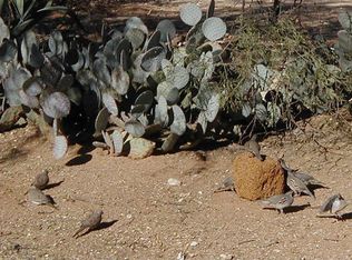 3905 N Bear Canyon Rd, Tucson, AZ 85749