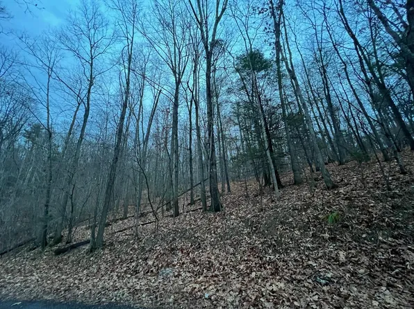 0 Moffett Branch Rd, Churchville, VA 24421
