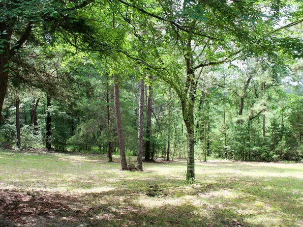 2733 County Road 1560, Grapeland, TX 75844