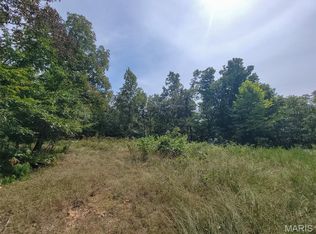 2 Madison St #9519, Fredericktown, MO 63645