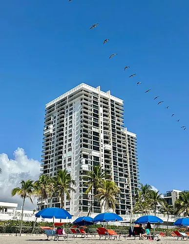 2401 S Ocean Dr #707 Photo 1