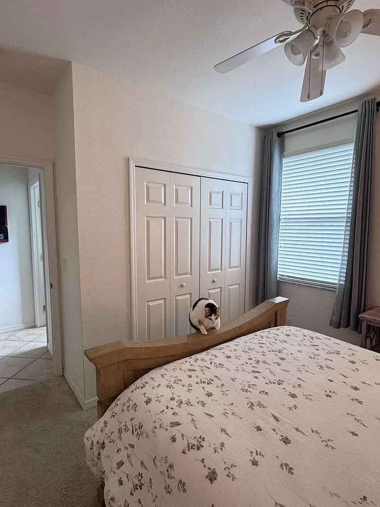 4317 Avian Avenue - 1 — Photo 4