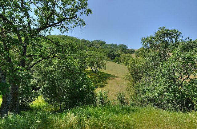 1st image of 1364 Tiffany Canyon Ct