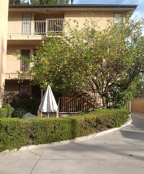 10307 Mount Gleason Ave #103 — Photo 26