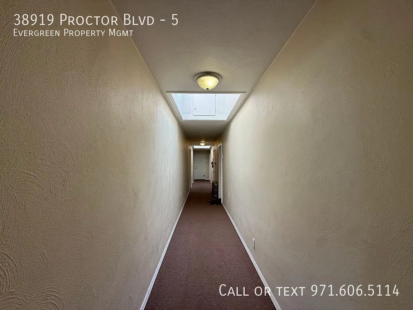 1 bed, 1.0 bath, 602 sqft, $1,295 — Photo 3