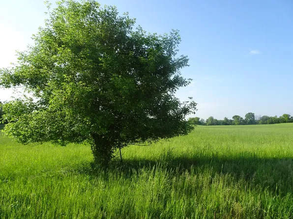 LOT 18 148th Ave, Balsam Lake, WI 54810