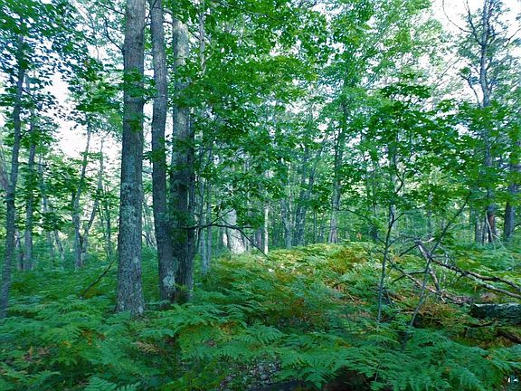 5th image of XXX Tressel Trail