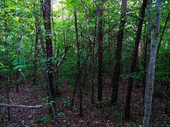 4th image of 1 Pittman Creek Ct