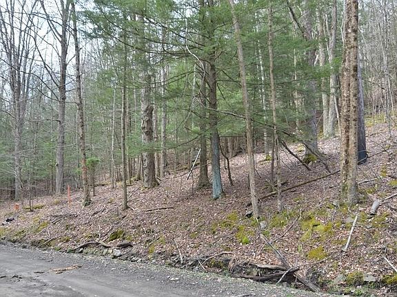 3rd image of 4235 Bellinger Hollow Rd