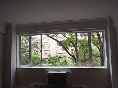 Tree-lined street