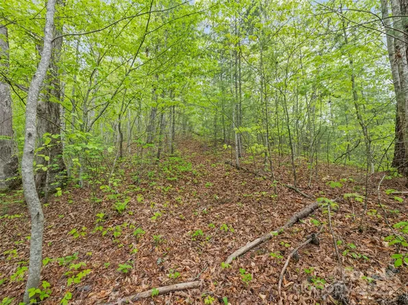 0 Falling Leaf Trl, Sylva, NC 28779